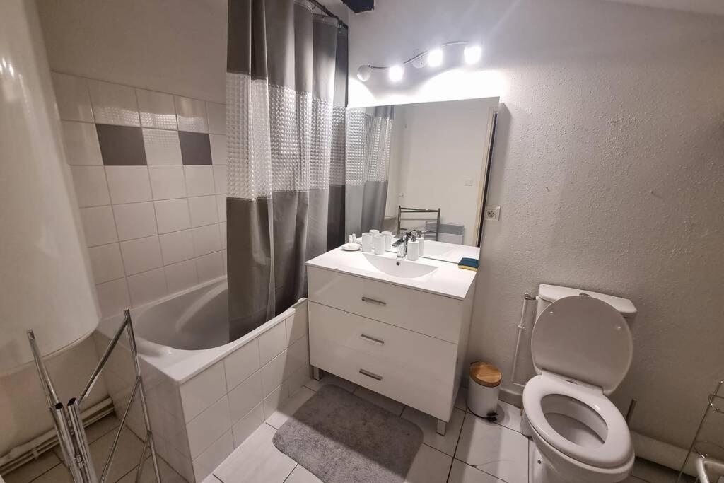 Appartement Exceptionnel 4 Etoiles Hyper Centre Albi 65 M2 Au 4Eme Etage Sans Ascenseur Avec Une Tour Du 12Eme Siecle Экстерьер фото